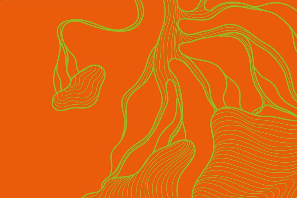 Immagine Festival dell'Accoglienza 2025