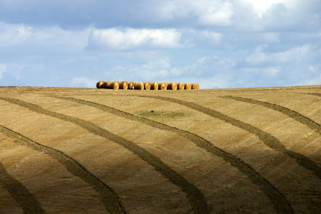 Agricoltura